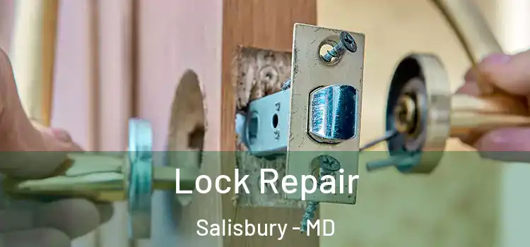 Lock Repair Salisbury - MD